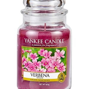 VERBENA L JAR