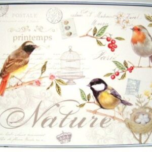 PLACEMAT LES OISEAUX