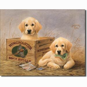 TWEE RETRIEVER PUPPIES