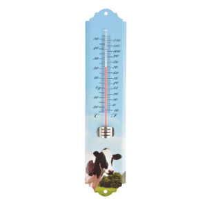 THERMOMETER KOE