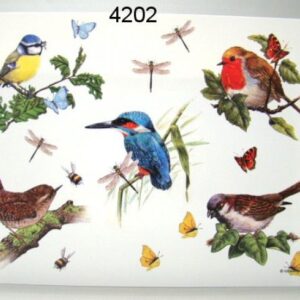 PLACEMAT VOGELS