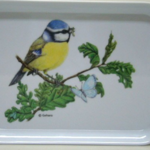 DIENBLAD PIMPELMEES KLEIN