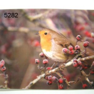 PLACEMAT ROODBORST 3D
