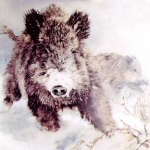 SERVETJES ZWIJN IN SNEEUW