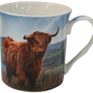 MOK SCHOTSE HOOGLANDER