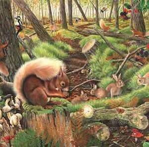 PUZZEL SAVE OUR SQUIRRELS