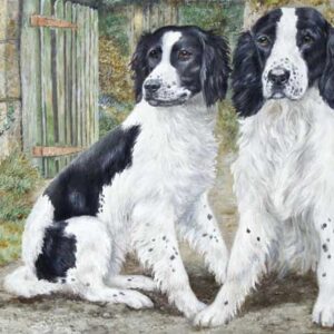 WAITING WENSKAART SPRINGER SPANIELS