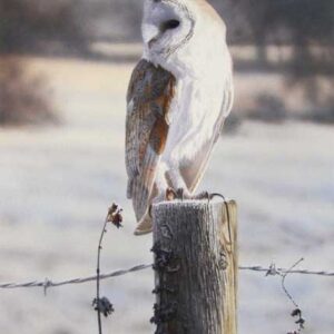 ON THE LOOKOUT WENSKAART