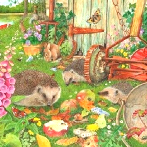 PUZZEL BOTTOM OF THE GARDEN