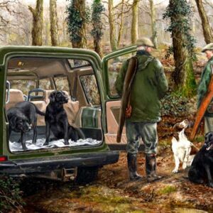 LAST DRIVE WENSKAART