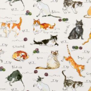 CATS KATOENEN SCHORT