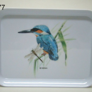 DIENBLAD IJSVOGEL KLEIN