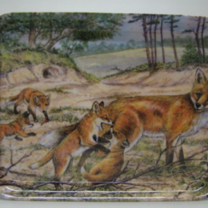 DIENBLAD VOSSEN KLEIN