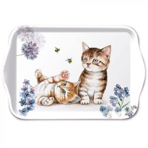 DIENBLAD CATS AND BEES