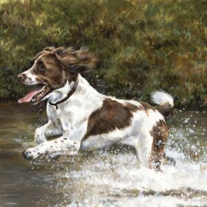 MAKING a SPLASH WENSKAART