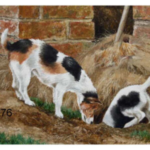 BOTTOMS UP WENSKAART