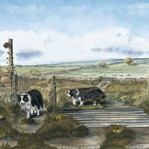 COMING HOME WENSKAART